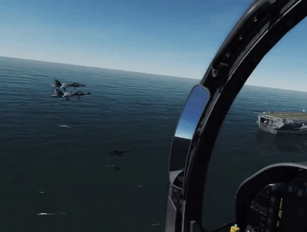 Dcs carrier 14.gif