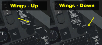 Wings pic.png